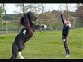 Hingstebassen er tilbage med nyere og bedre tricks 3 !