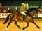 Welsh Cob hingst, Menai Sparkling Imperial