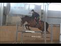 Tilde NY springvideo