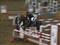 Anee Keller & Misty - MB i Boller - Oktober 2008 (B-Rytter og pony)