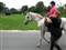 Ny pony