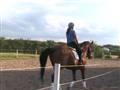 Video af Le Monty Del 1