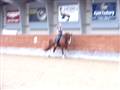Dolce R. 2 sep. 2010