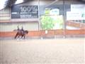 Dolce R. 2010 (galop)