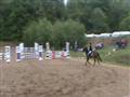Aabenraa, La**, Sheik