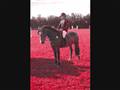 Amalie Friis & Chopin - LA**