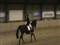 Schnell Eleven & Mia Oudal, MB2-debut