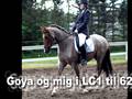 Mig og Goyas første stævne ! :D