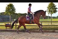 Dido BW