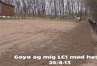 Goya og mig til SBR Bededagsstævne LC1