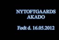 Nytoftgaad Akado
